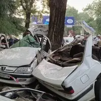 برخورد مرگبار پژو پارس با درخت؛ خودرو نصف شد