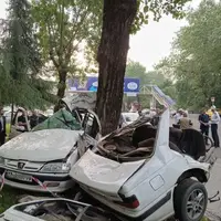 برخورد یک خودروی سواری با درخت در رشت ۳ کشته بر جا گذاشت