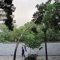 وزش‌ باد در خراسان‌ رضوی شدت می‌گیرد