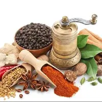 دومین کنگره ملی طب ایرانی، بستری برای تبادل علمی در این حوزه