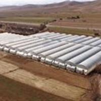 سرمایه گذاری ۲۰ هزار میلیارد ریال برای ساخت گلخانه چهارمحال و بختیاری