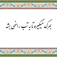 ضرب المثل/ به مرگ می‌گیره تا به تب راضی بشه!