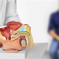 موفقیت دانش‌بنیان‌ها در ساخت داروی گیاهی هایپرپلازی پروستات