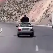 راننده و زن بدلکار روی سقف پراید دستگیر شدند