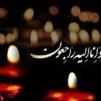 مادر شهیدان هاشم و مرتضی نارکوب به فرزندان شهیدیش پیوست