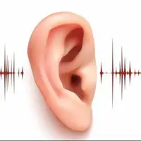 تشخیص وزوز گوش از روی حرکات صورت