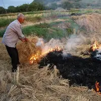  ۵ سال حبس در انتظار عاملان آتش‌زدن بقایای کشاورزی