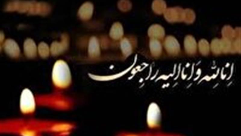 مادر شهیدان هاشم و مرتضی نارکوب به فرزندان شهیدیش پیوست