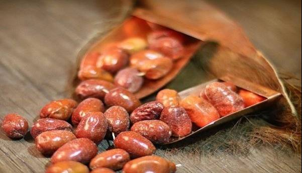 میوه‌ای که جای دارو را می‌گیرد؛ ۱۰ خاصیت شگفت‌انگیز سنجد