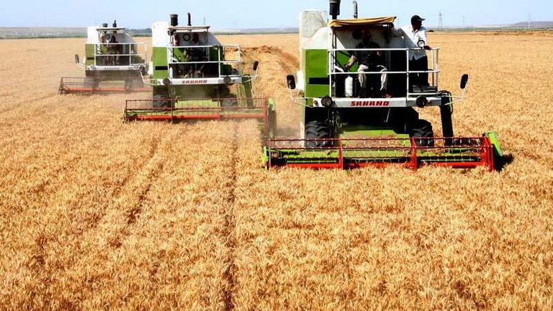 سفر رئیسجمهور فرصتی مغتنم برای توسعه کشاورزی کرمانشاه