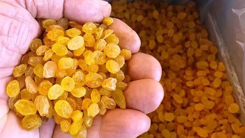 جای خالی توسعه صنایع تبدیلی کشاورزی در ابهر
