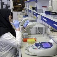 توسعه کمی و کیفی پژوهش‌های دانشگاه علوم پزشکی تهران/ همکاری‌ برای رفع مسائل کلان