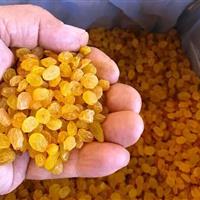 جای خالی توسعه صنایع تبدیلی کشاورزی در ابهر