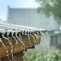 رگبار‌های موقت و پراکنده میهمان گیلانی‌ها