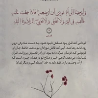 طرح/ گاهی خیر و صلاح تو در همان چیزی است که از آن وحشت داری