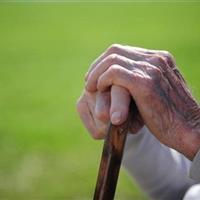 جمعیت سالمند خمین ۶ درصد بیشتر از میانگین کشور است