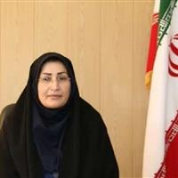 فرماندار روانسر مهم‌ترین چالش‌های این شهرستان را تشریح کرد