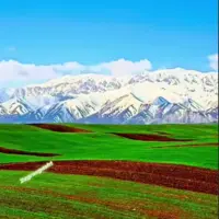 سرزمین باشکوه قالیکوه بهشت این روزهای زاگرس
