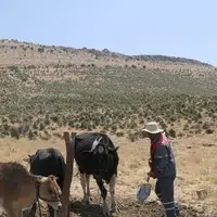 ۹۰ زندانی کهگیلویه و بویراحمد تسهیلات اشتغال دریافت کردند