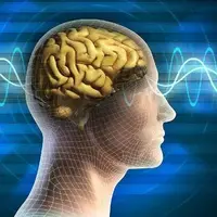 ساعت کاری طولانی بر سلامت احساسی افراد اثر می‌گذارد
