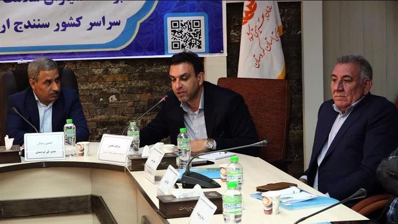 همیاران سلامت روانی بهزیستی پشتوانه فعالیتهای اجتماعی هستند