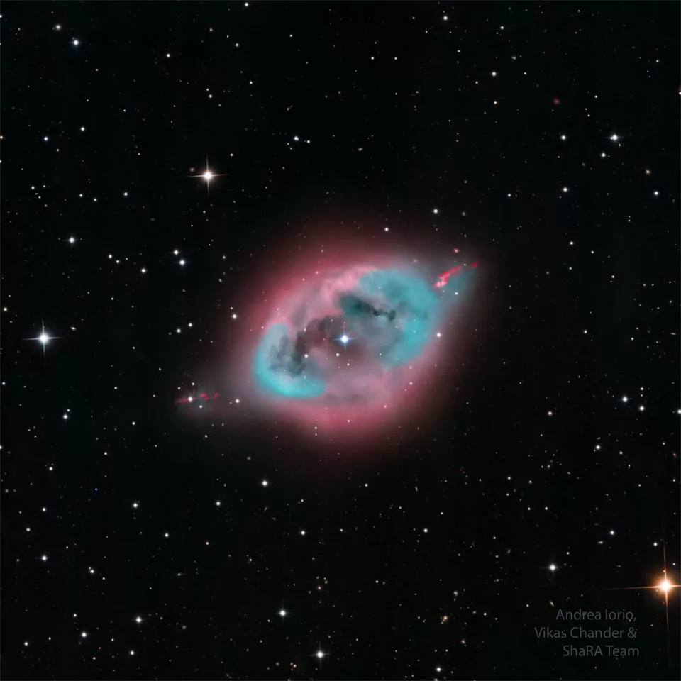 تصویر روز ناسا؛ NGC 1360 یا سحابی تخم رابین، پرنده سینه‌سرخ