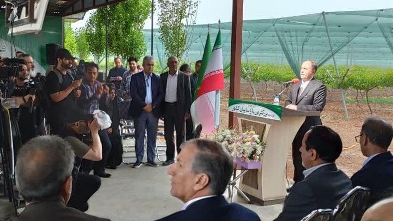 فاز دوم بزرگترین باغ سایبان کشور در کرمانشاه افتتاح شد