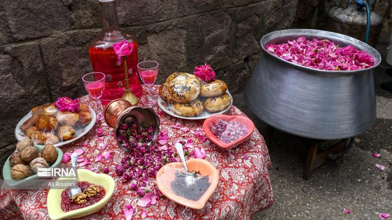 آغاز جشنواره گلابگیری در البرز