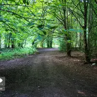 بهار پارک‌ جنگلی «بِزچَفت» بابل