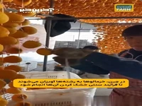 تولید شکر از خرمالو در چین!