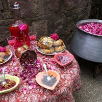 آغاز جشنواره گلاب‌گیری در البرز