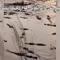 مردی شجاع برای نجات عقاب سرسفید به دریاچه‌ای پر از تمساح شیرجه زد