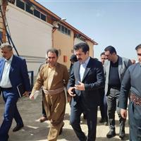 قول معاون رئیس‌جمهور برای راه‌اندازی کتابخانه سیار در روانسر