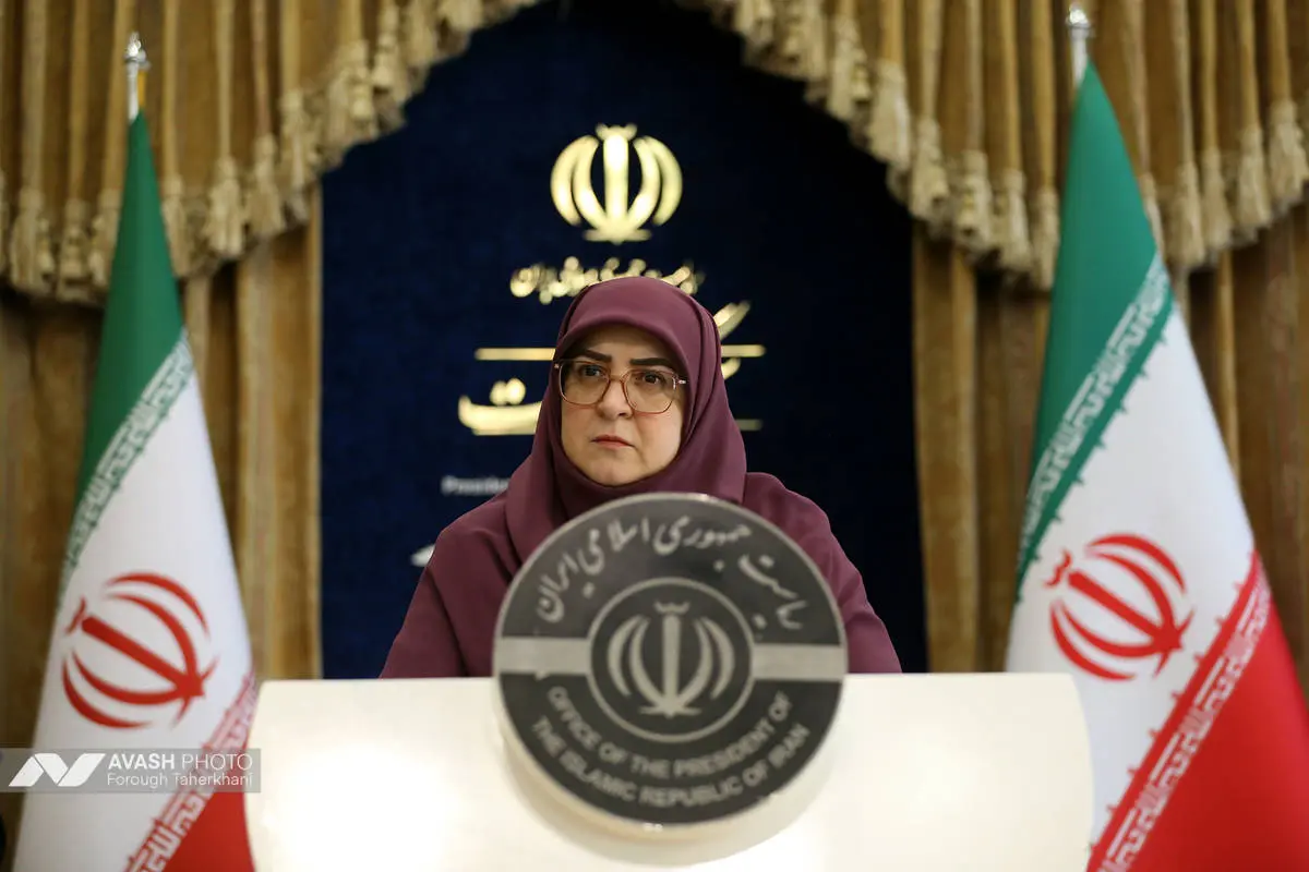 سخنگوی دولت: وزیر پیشنهادی اقتصاد از میان نمایندگان نیست