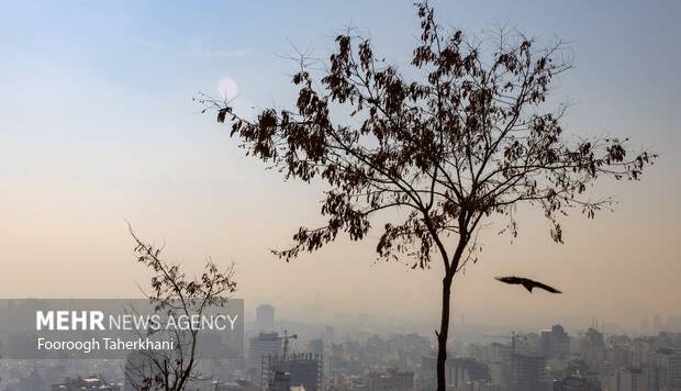 هوای تهران در وضعیت آلوده قرار گرفت