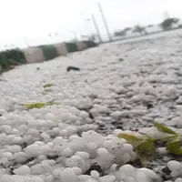 بارش تگرگ اردیبهشتی در مشهد