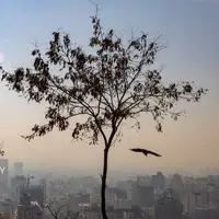 هوای تهران در وضعیت آلوده قرار گرفت