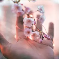 طرح/ عاقبت همه کارها 