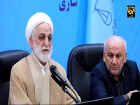 محسنی اژه‌ای: قضات در حد امکان از ممنوع‌المعامله کردن تولیدکنندگان بدهکار اجتناب کنند