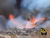 20 هکتار از باغات جیرفت در آتش سوخت