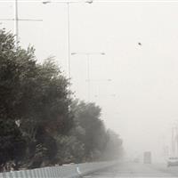 جزئیات خسارات طوفان پنجشنبه در کرج / ثبت ۴۳ حادثه