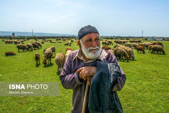 تهیه طرح های تلفیقی با محوریت گردشگری و گیاهان دارویی در مراتع گیلان