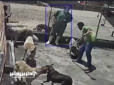 لحظه حمله سگ به کارشناس دامپزشکی