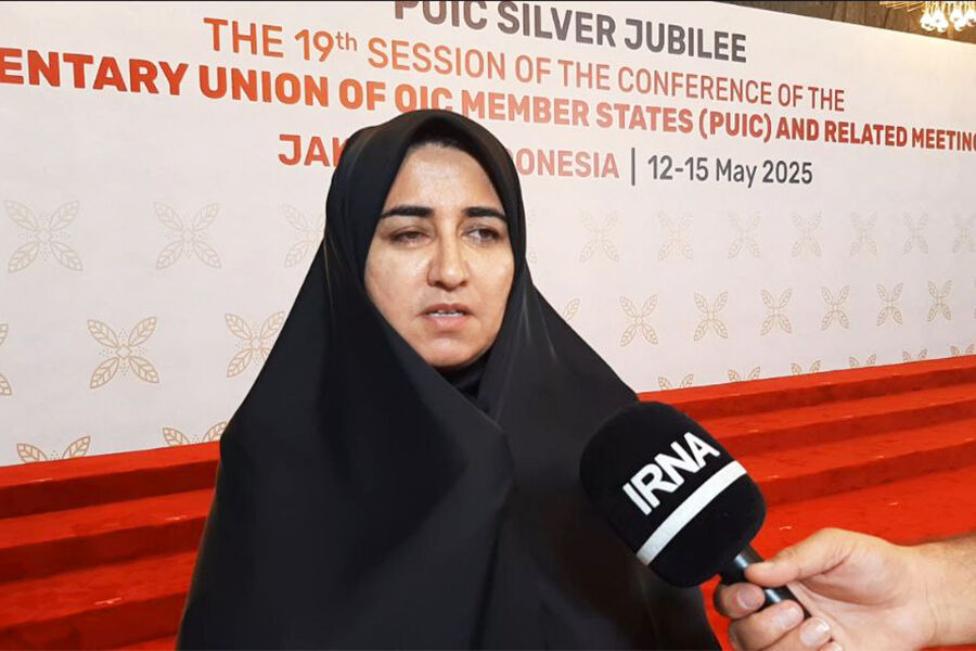 عضو کمیسیون امنیت ملی مجلس: رویکرد توسعه دیپلماسی اقتصادی نباید فقط در اجلاسها خلاصه شود