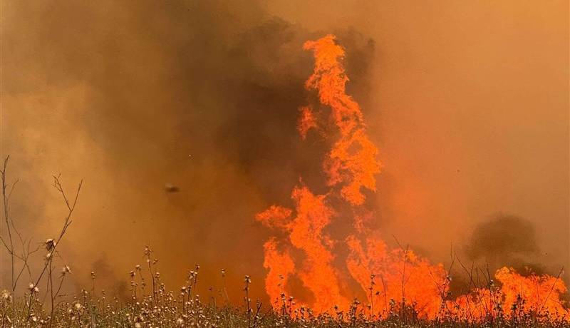آتش سوزیهای گسترده سرتاسر فلسطین اشغالی را فرا گرفته است