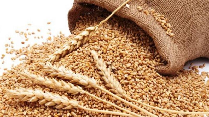 ۲میلیارد ریال زکات در دره شهر جمع آوری شد