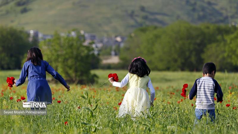 بیش از ۲۱ همت وام ازدواج و فرزندآوری از ابتدای امسال پرداخت شد