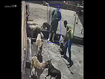 لحظه حمله سگ به کارشناس دامپزشکی طرقبه شاندیز