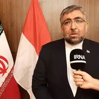 دستیار ویژه رئیس مجلس در امور بین‌الملل: ایران و کشورهای مسلمان مواضعی محکم و قاطع درباره غزه اتخاذ کردند