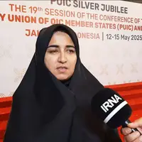 عضو کمیسیون امنیت ملی مجلس: رویکرد توسعه دیپلماسی اقتصادی نباید فقط در اجلاس‌ها خلاصه شود